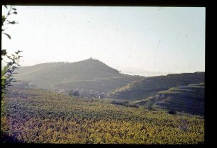 Achkarren am Kaiserstuhl