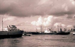 Hamburg: Hafen, Landungsbrücken, Frachter im Rosshafen