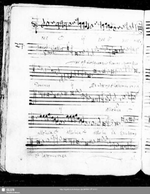 27 Iacobus Gallus: Haec est dies quam fecit Dominus