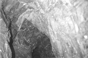 Nossen-Kottewitz. Kalkhöhle oberhalb vom Buschhaus