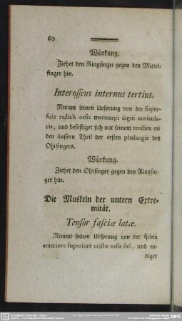 Die Muskeln der untern Extremität