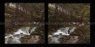 Landschaftsmaler am Bach im Wald bei Ilsenburg