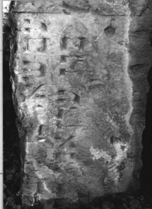 Grabstein 245 (Index: 100110508) Material: Sandstein Zustand: Fragment Maße HxBxT: 42x73x8 cm Beschreibung: Schriftfeld eingetieft (Fragment): Grabstein 245
