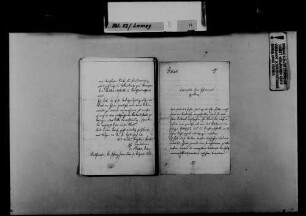 Schreiben von Josef Haas, Bruchsal, an August Lamey: Beschreiben der aktuellen Tätigkeiten an der Höheren Töchterschule Bruchsal.