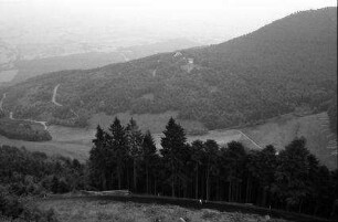 St. Odile: Wald von der Terrasse aus