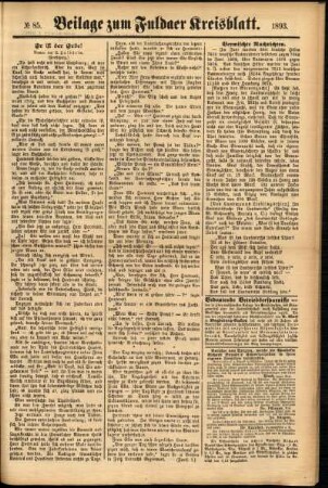 Zweite Ausgabe vom Samstag, den 22. Juli 1893.