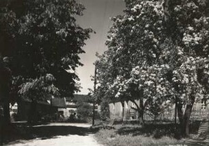 Oberlößnitz. Berg- und Lusthaus Hoflößnitz. Gartenseite mit Wirtschaftsgebäuden und Kavaliershaus