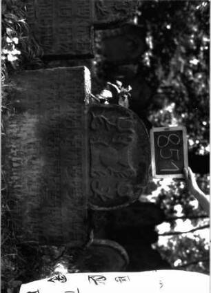 Grabstein 851 (Index: 100102941) Material: Sandstein Zustand: angewittert, etwas eingesunken Maße HxBxT: 88x94x14 cm Beschreibung: breitrechteckige Stele, eingezogener Rundbogenabschluss, im Giebelfeld Kelch (vmtl. stilisierte Levitenkanne), von Blumen umrahmt, Schriftfeld ist gleichmäßig von Buchstaben ausgefüllt, Wortabstände werden gar nicht, teilweise auch falsch gesetzt Symbolik: Levitenkanne, Blumen: Übersichtsaufnahme 1851