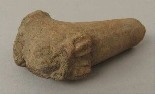 Gefäß (Fuß)