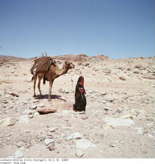 Wanderung, Aufbruch - Sinai - Familie Salem