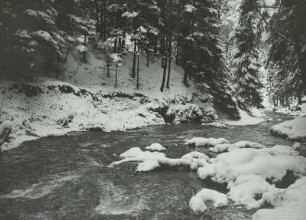 Dresdner Heide. Die Prießnitz im Winter