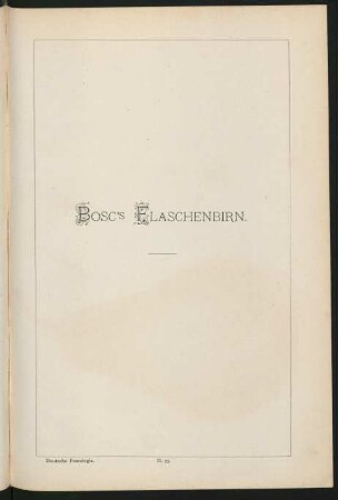 II. 75. Bosc's Flaschenbirn