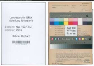 Entnazifizierung Richard Hahne , geb. 16.07.1894 (Kaufmann)