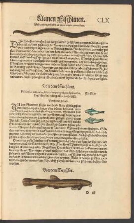 Von dem Stichling. Pisciculus aculeatus, Pisciculus pungitivus, Spinachia. Ein stichling/ Ein Scharpling/ Ein stachelfisch.