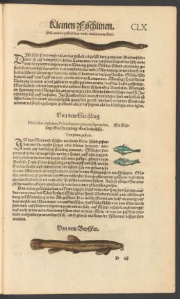 Von dem Stichling. Pisciculus aculeatus, Pisciculus pungitivus, Spinachia. Ein stichling/ Ein Scharpling/ Ein stachelfisch.