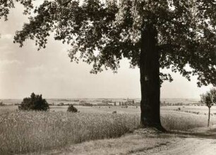 Klipphausen-Sora. Ortsansicht von der Straße Birkenhain - Sora