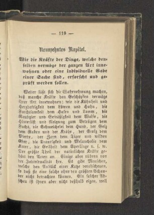 Neunzehntes Kapitel.