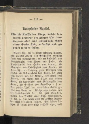Neunzehntes Kapitel.