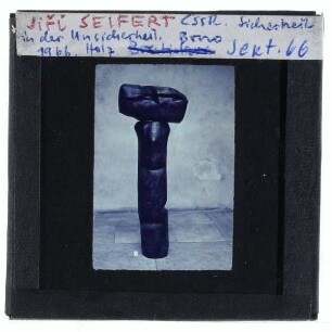 Seifert, Sicherheit in der Unsicherheit