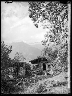 Bauernhof bei Meran, Edelkastanien
