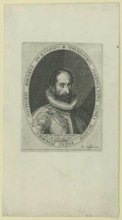 Bildnis des Herzogs Ferdinand I. von Bayern