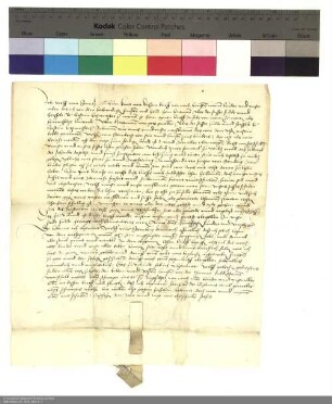 Revers Wolfs von Sternberg bezüglich der Belehnung mit zwei Vorwerken in Milz und weiteren im Einzelnen aufgeführten Lehen durch Hartmann [Burggraf von Kirchberg], Abt von Fulda
