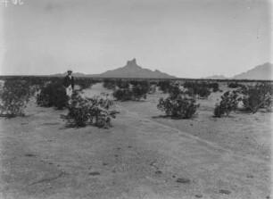 Landschaftsansicht : Mann inmitten einer kahlen Vegetationslandschaft mit Anhöhen im Hintergrund