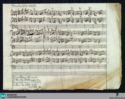 2 Sonatas - Mus. Hs. 490-495a : fl (2), b