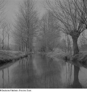 Ansicht eines Kanals im Spreewald