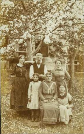 [Familienfoto unterm Baum]
