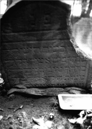 Grabstein 207 (Index: 99803279) Material: Sandstein Zustand: abgebroch/eingesunk/völl. Textverl. Maße HxBxT: 72x58x9 cm Beschreibung: Stel emit eingezogenem Rundbogen und profiliertem Rand, Giebelfeld: Grabstein 207 (Nachholaufnahme 2)