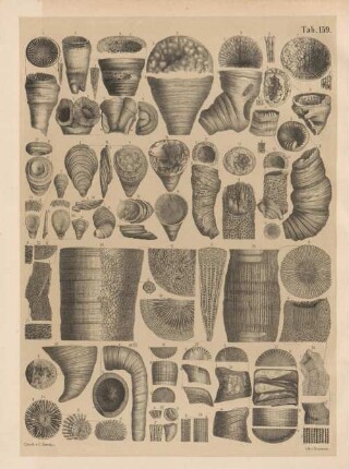 Tab. 159