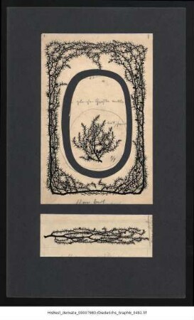 Diederichs-Graphik 0564
