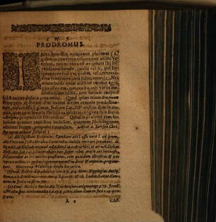 Ḥîdat Šimšon Sive Dissertatio Philologica De Aenigmate Simsonis : Ex Iudic. cap. XIV. vers. 14. & 18.