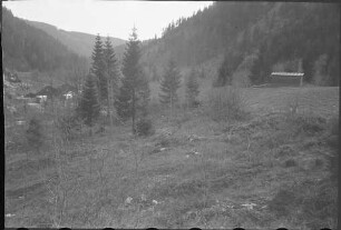 Landschaft bei Sankt Blasien