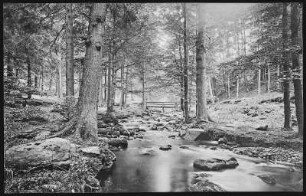 Ilsenburg. Ilsetal