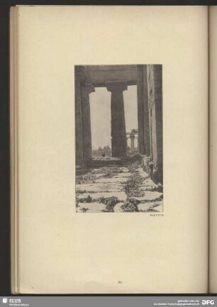 Paestum