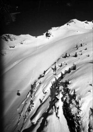 Oberstdorf: Nebelhorn; Tannen, Schatten der Kabine und Berge