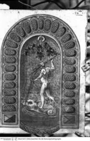 Scritti e disegni, Wandbrunnen mit Neptun