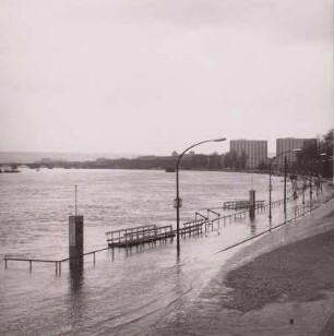 Dresden. Elbehochwasser im Juni 1965 (Wasserstand 6m Dresdner Pegel) : Dresden, Landungsbrücken am Altstädter Ufer bei Hochwasser, stromaufwärts gesehen