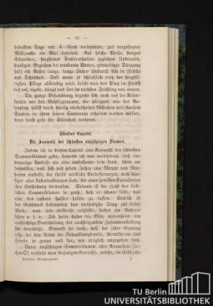 Fünftes Kapitel. Die Auswahl der schönsten einjährigen Blumen.