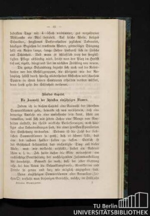 Fünftes Kapitel. Die Auswahl der schönsten einjährigen Blumen.