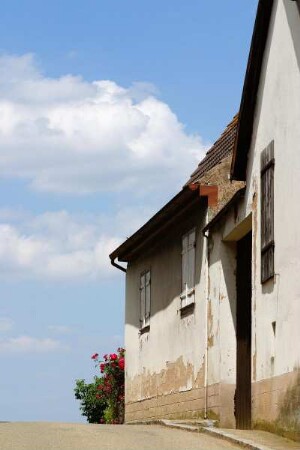 Frankreich. Alsace. Bas Rhin. Mittelbergheim