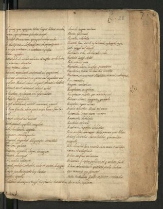 Fasz. VI: Synonymenverzeichnis