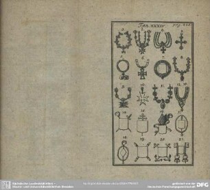 Tab. XXXIV.