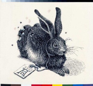 Ohne Titel (Dürer - Hase)
