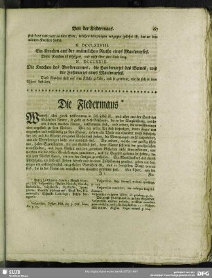Die Fledermaus