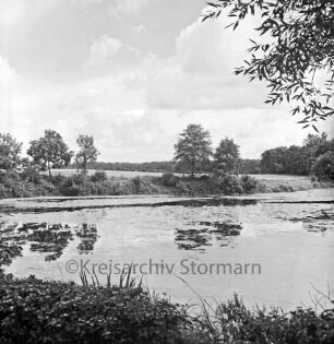 Papierholz: Teich: vorn Gräser: hinten Bäume