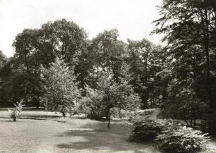 Dresden. Schloss Eckberg. Park