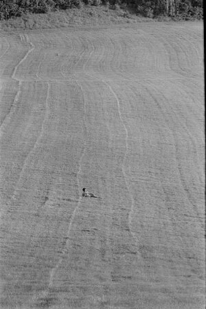Čičmany. Akt-Pleinair 1980. Abgeerntetes Feld mit einer liegenden jungen Frau im Hintergrund